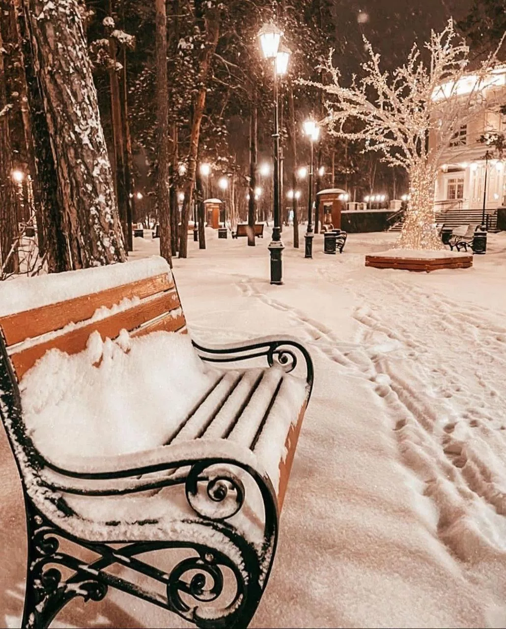 photo1675920828 (2).webp